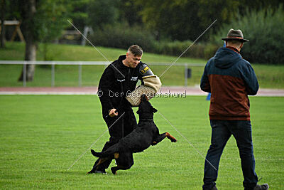 Ipet von den Wichtelhäusern