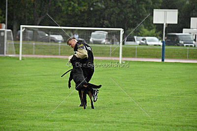 Ipet von den Wichtelhäusern