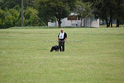 Ipet von den Wichtelhäusern