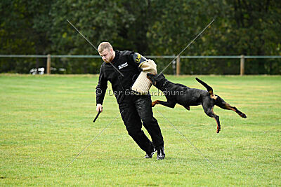 Ipet von den Wichtelhäusern