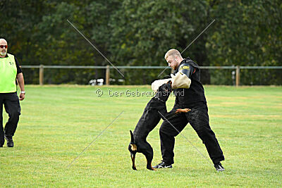 Ipet von den Wichtelhäusern