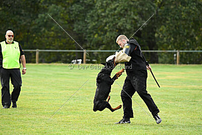 Ipet von den Wichtelhäusern