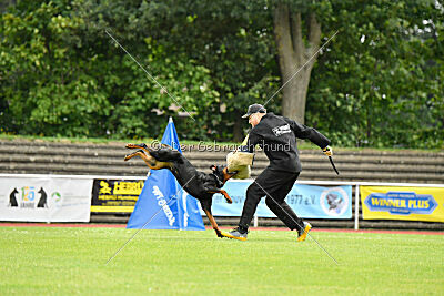 Ipet von den Wichtelhäusern