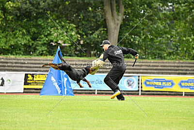 Ipet von den Wichtelhäusern