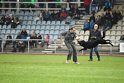 Irak vom schwarzen Bär