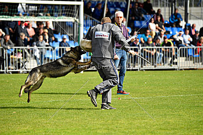 Irck de la Hutte du Berger