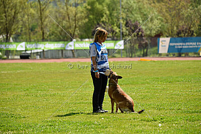 Iris Veranis K-9 Dog Center