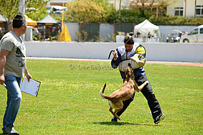 Iris Veranis K-9 Dog Center