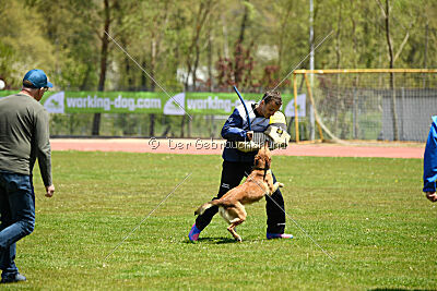 Iris Veranis K-9 Dog Center