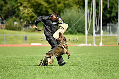 Irma vom Schloß Eberstein
