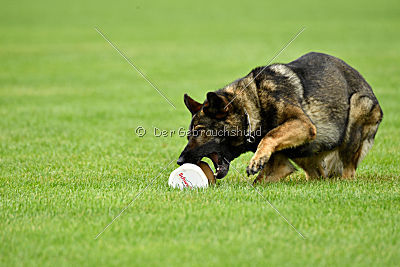 Irma vom Schloß Eberstein
