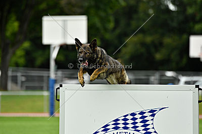 Irma vom Schloß Eberstein