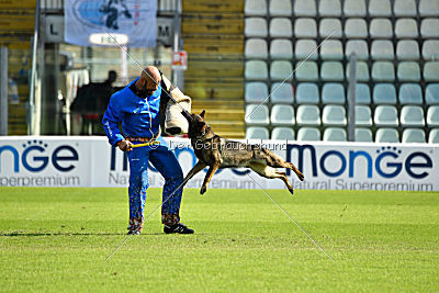 Irma vom Schloß Eberstein