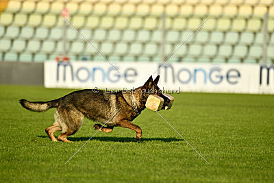 Irma vom Schloß Eberstein