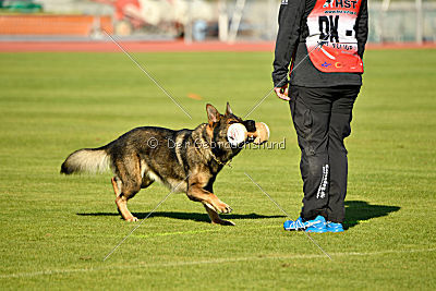 Irock vom Spektefeld