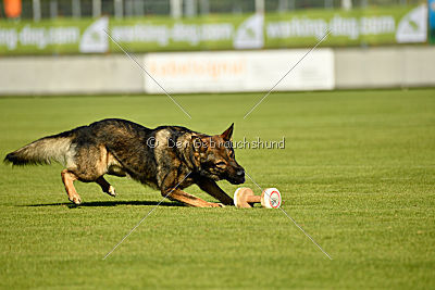 Irock vom Spektefeld