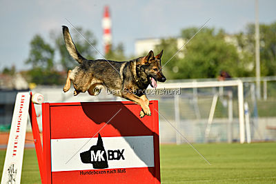 Irock vom Spektefeld