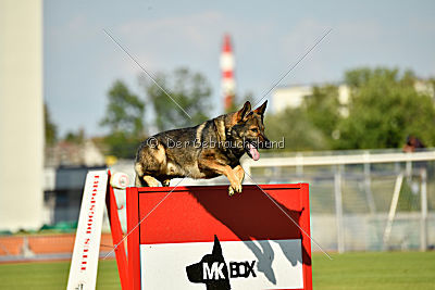 Irock vom Spektefeld