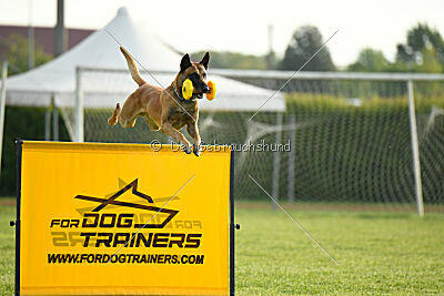 Irokk vom Streitwald