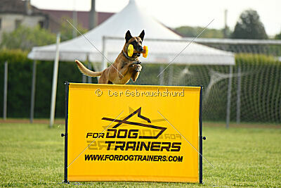 Irokk vom Streitwald