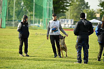 Irokk vom Streitwald