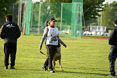 Irokk vom Streitwald