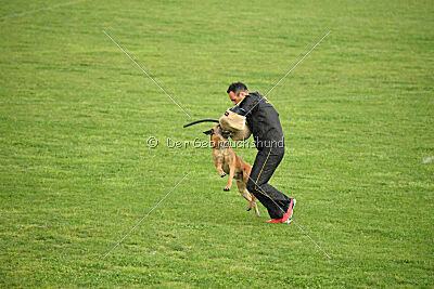 Irokk vom Streitwald