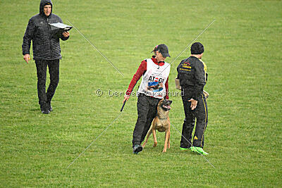 Irokk vom Streitwald