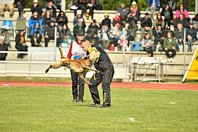 Irokk vom Streitwald