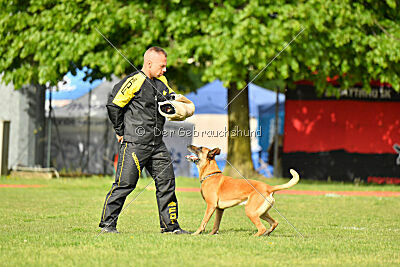 Irokk vom Streitwald