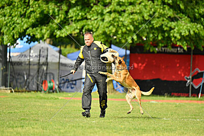 Irokk vom Streitwald