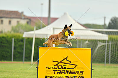 Irokk vom Streitwald