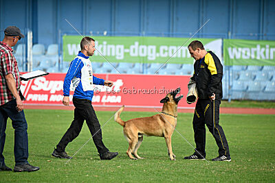 Iry von den Mecklenburger Rüpeln