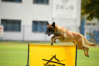 Iry von den Mecklenburger Rüpeln