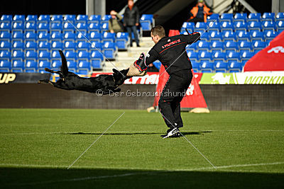 Iska von der Eisspitzen