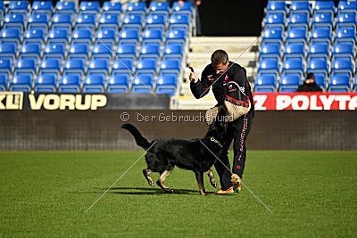 Iska von der Eisspitzen