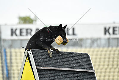 Iska von der Eisspitzen