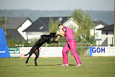 Isko vom Seddiner See