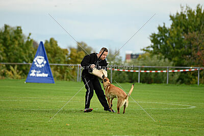 Isla Ibiza Bonita vom Eifeler Land