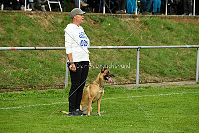 Isla Ibiza Bonita vom Eifeler Land