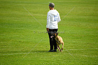 Isla Ibiza Bonita vom Eifeler Land