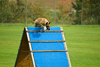 Isla Ibiza Bonita vom Eifeler Land