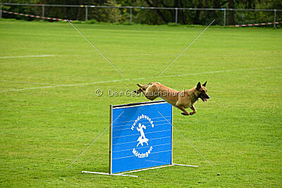 Isla Ibiza Bonita vom Eifeler Land