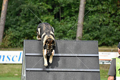 Iso von der Mooreiche