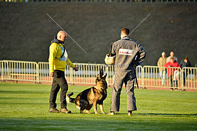 Iso von der Mooreiche