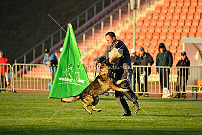 Iso von der Mooreiche