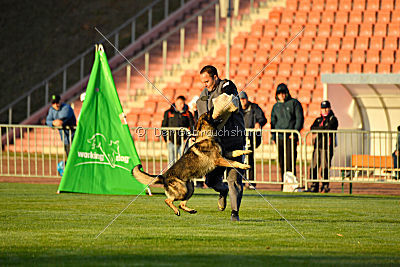 Iso von der Mooreiche