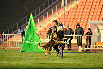 Iso von der Mooreiche