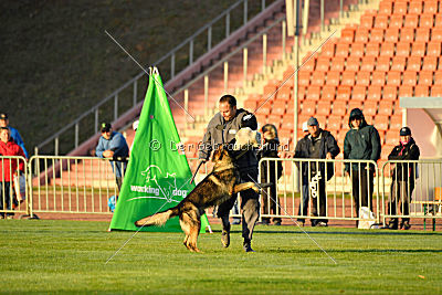 Iso von der Mooreiche