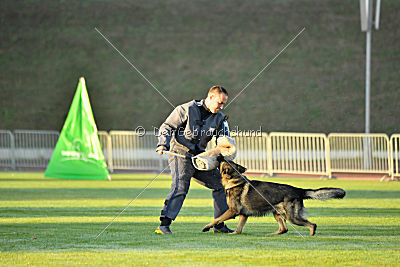 Iso von der Mooreiche